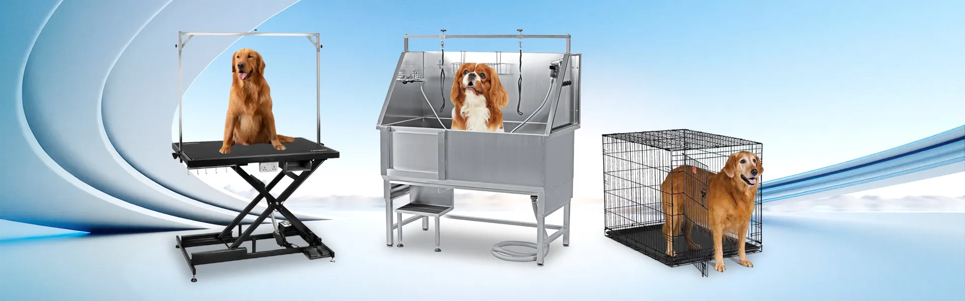 हमारे बारे में